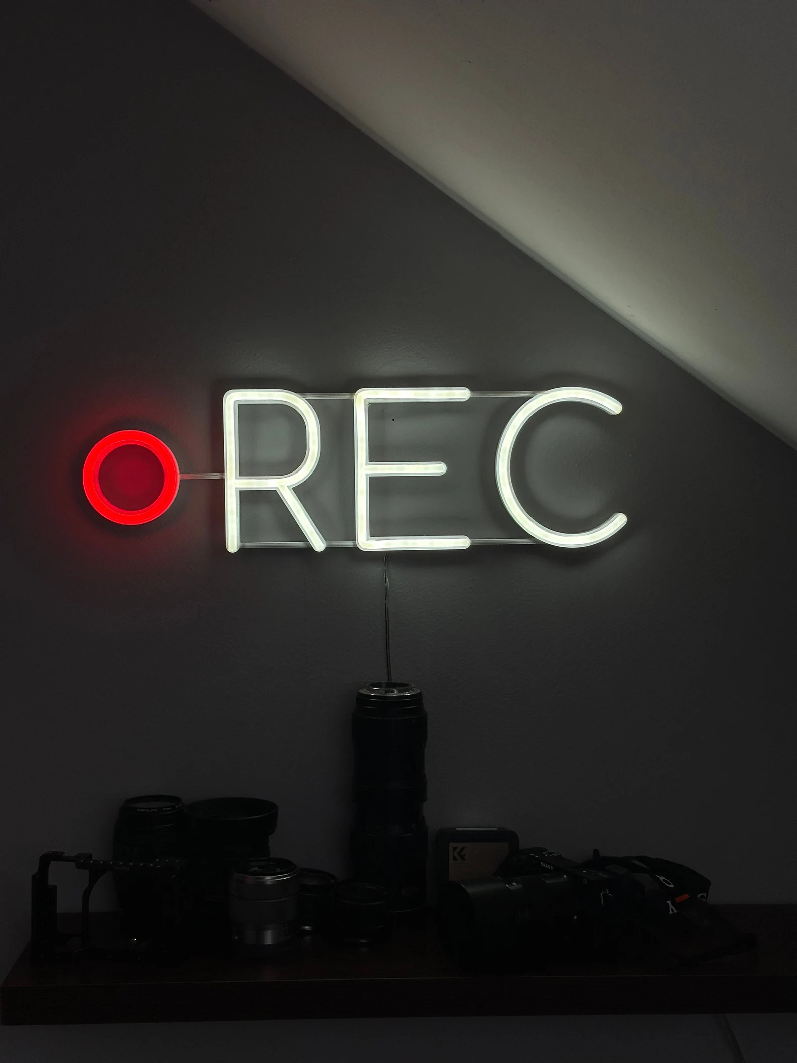 LED Neon REC Sign for Home Studio Podcast Streaming Room Wall Decor