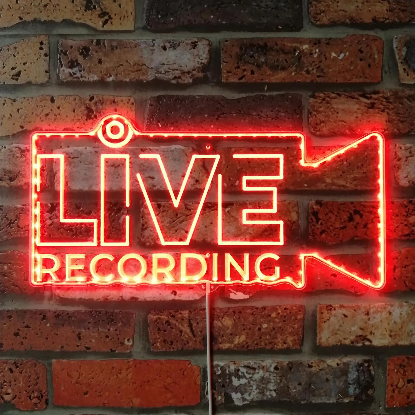 Live Recording LED Neon Sign Light for Studio Wall Decor
